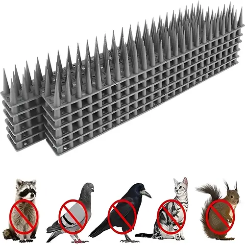 Netting Maestros Anti-Bird Spikes Services in Bangalore, Mysore, Electronic city, Sarjapura, Bannarigatta