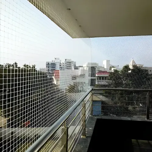 Netting Maestros Pigeon Net in Bangalore, Mysore, Bannarigatta, Sarjapura, Electronic city.