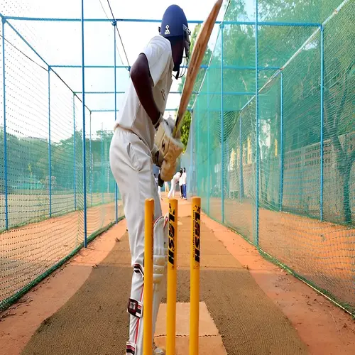 Netting Maestros Safety Nets - Sports Nets in Bangalore, Electronic city, Sarjapura, Bannarigatta