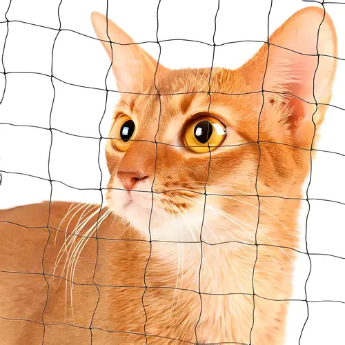 Netting Maestros Cat Safety Nets in Bangalore, Mysore, Sarjapura, Electronic city, Bannarigatta