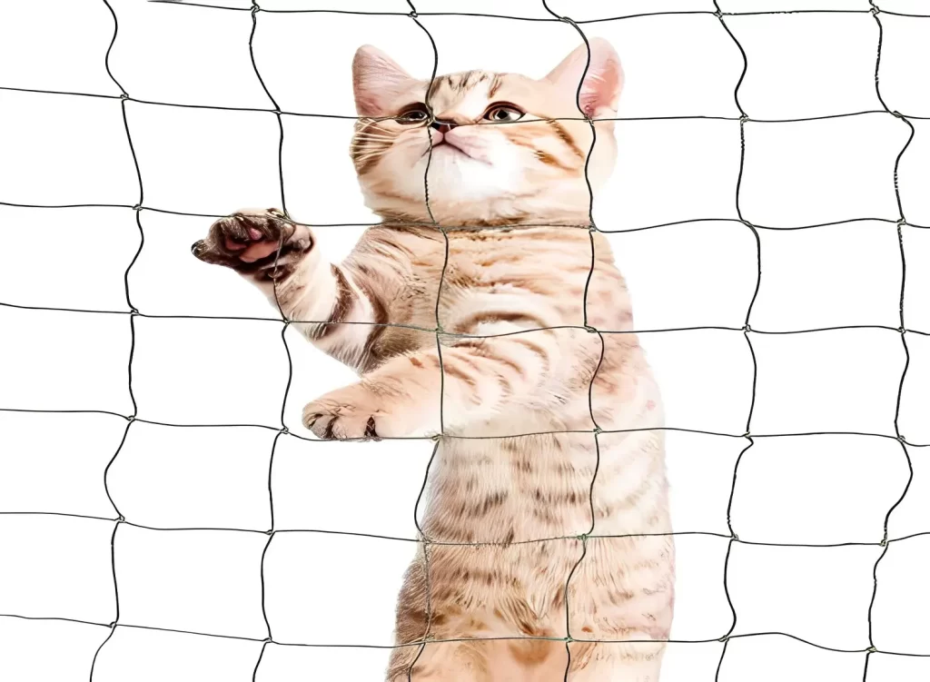 Netting Maestros Cat Safety Nets in Mysore, Bangalore, Sarjapura, Electronic city, Bannarigatta.