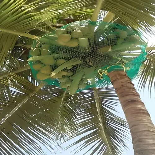 Netting Maestros Coconut Tree Nets in Bangalore, Mysore, Electronic City, Sarjapura